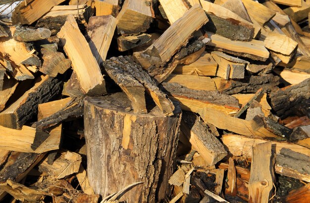 Grande catasta di legna da ardere preparata per l'inverno