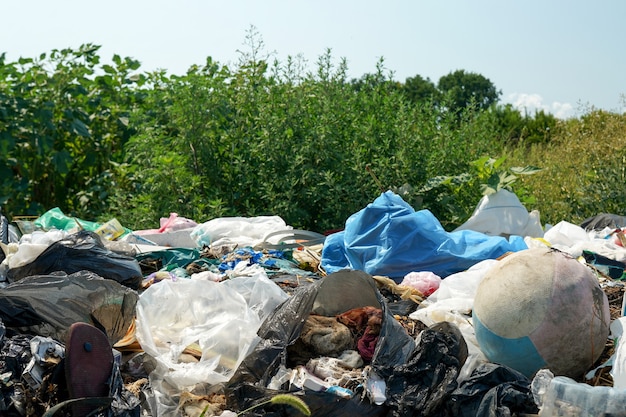 Grande discarica di rifiuti vicino alla strada, alla natura e allo sfondo del cielo blu