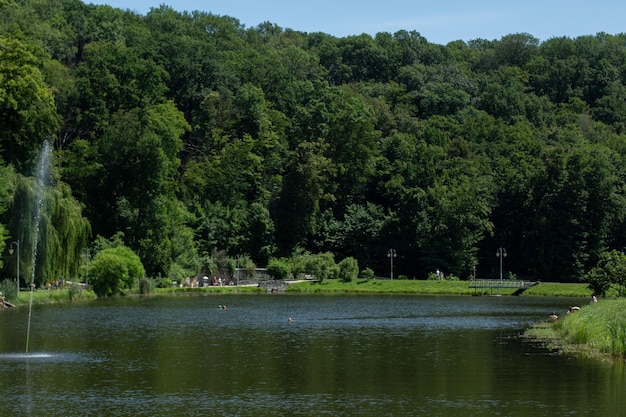 Grande e bellissimo lago con paesaggio verdeggiante