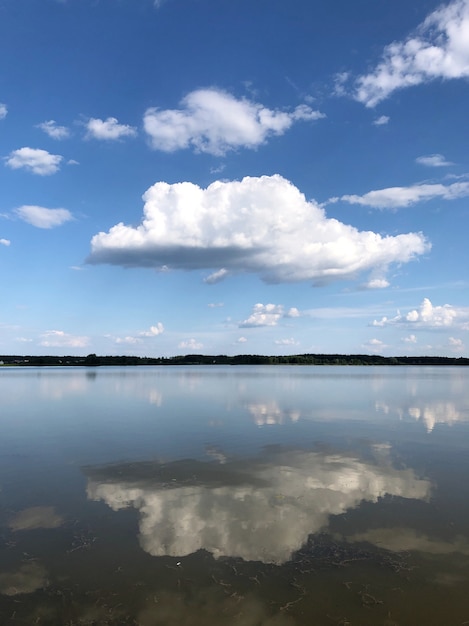 Grande e soffice nuvola bianca su un cielo blu riflesso in un'acqua limpida del lago con una linea dell'orizzonte della foresta.