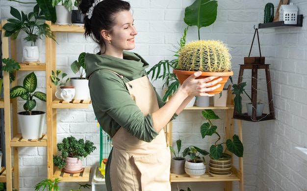 Grande echinocactus Gruzoni nelle mani di una donna all'interno di una serra con collezioni di scaffali di piante domestiche Allevatore di piante per la produzione di colture domestiche che ammira un cactus in una pentola