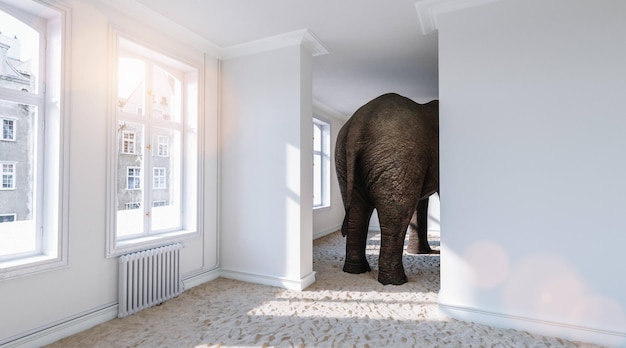Grande elefante da dietro in una piccola stanza con spiaggia di sabbia a terra come un'immagine divertente del concetto di problema di spazio
