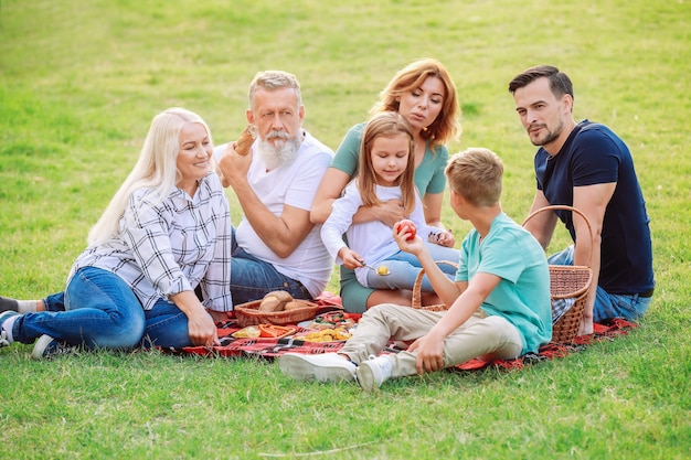 Grande famiglia che ha picnic nel parco