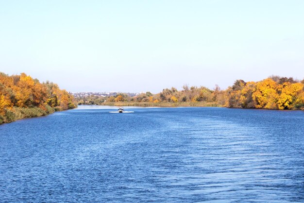 Grande fiume con alberi gialli in autunno