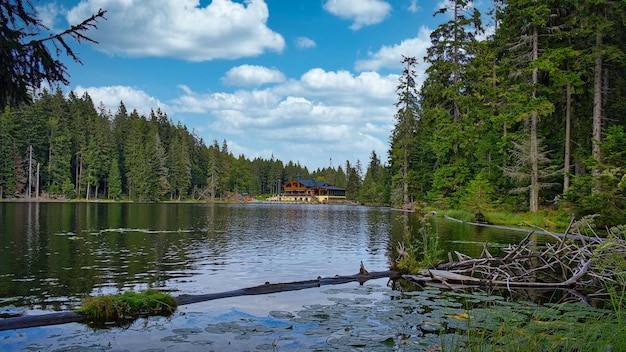 Grande lago Arber nella foresta bavarese