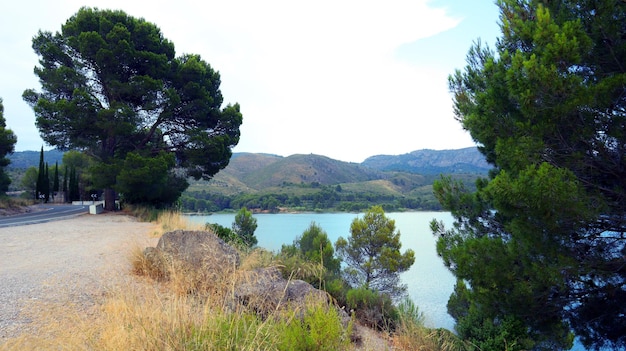 Grande lago artificiale in montagna, acqua molto blu, alberi di pino sulla riva, Beniarres Spagna