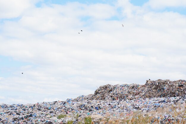 Grande mucchio di immondizia isolato su sfondo bianco, riscaldamento globale