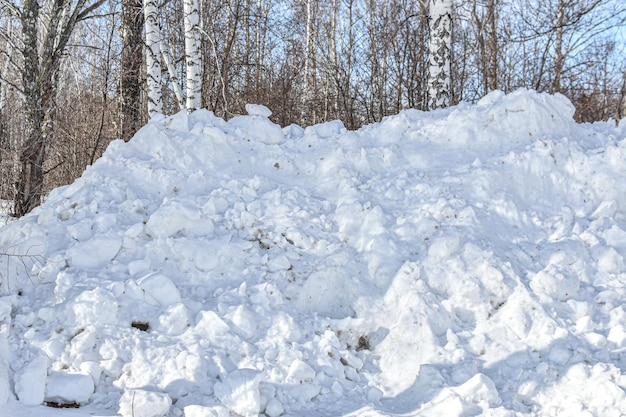 Grande mucchio di neve raccolta dallo spazzaneve dopo la pulizia della strada Pulizia della neve in inverno in città