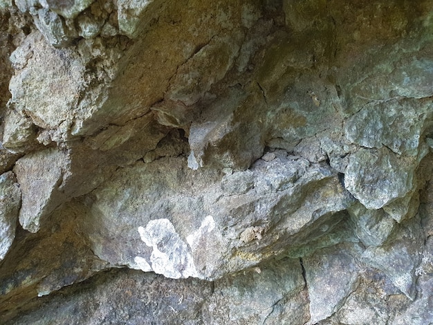 grande muro di pietra nella foresta tropicale