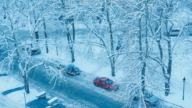 Grande neve sulle macchine