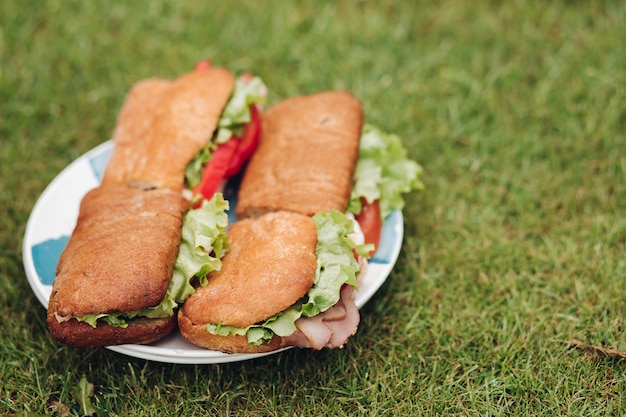 Grande piatto del primo piano con il panino fresco appetitoso su erba verde