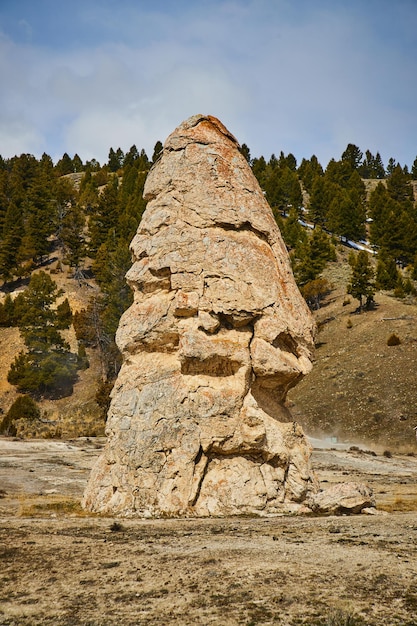 Grande pilastro di roccia con cappuccio liberty nel mezzo del deserto a Yellowstone