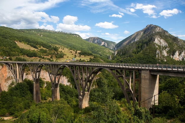 Grande ponte in Montenegro sul fiume in autunno