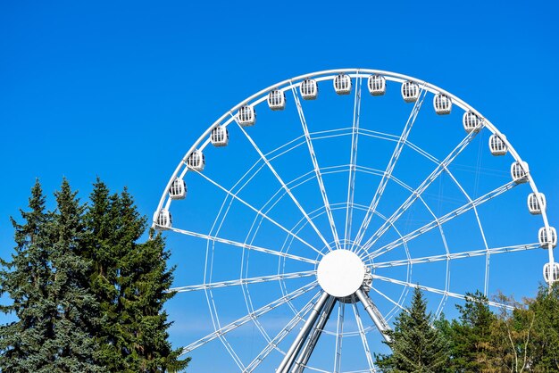 Grande ruota panoramica nel parco delle attrazioni