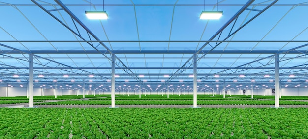 Grande serra industriale interna Fabbrica idroponica di piante vegetali indoor Fattoria di insalata verde Rendering 3D del pavimento in cemento