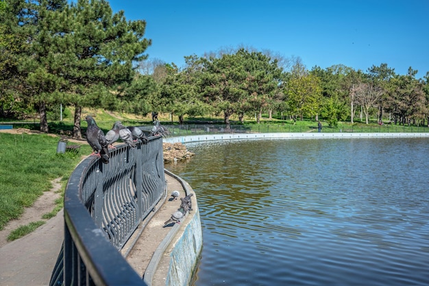 Grande stagno nel parco della vittoria a Odessa Ucraina