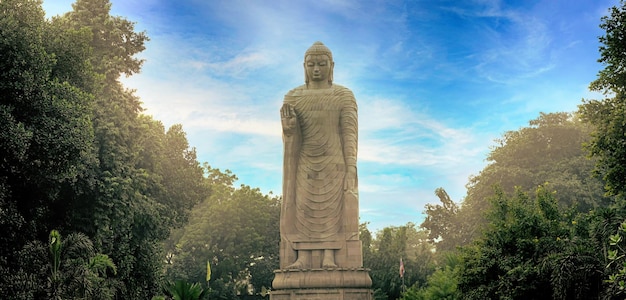 Grande statua di Gautam Buddha in serata