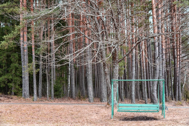 Grande vecchia altalena nel parco forestale