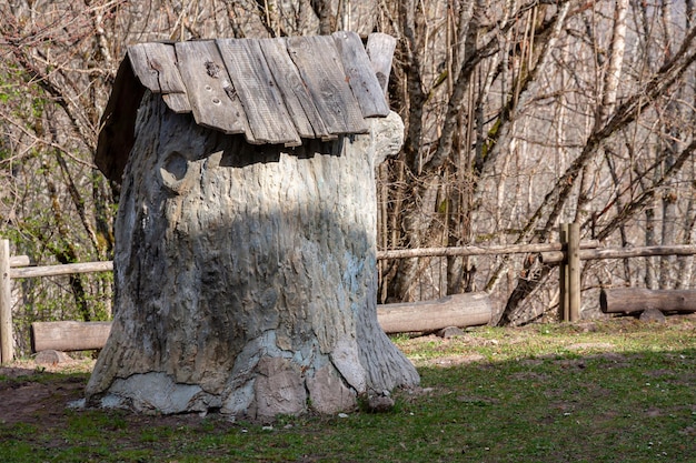 Grande vecchio ceppo di albero con tetto in legno in un parco verde