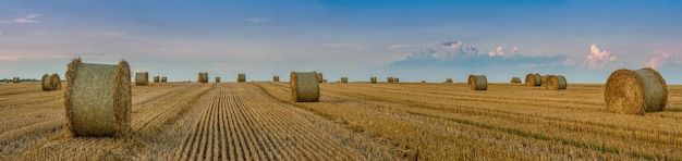 Grande vista panoramica del campo di grano raccolto balle di paglia in rotoli sullo sfondo di un bel cielo