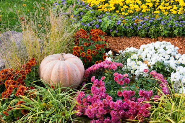 Grande zucca matura che si trova sulla terra in giardino tra i fiori.