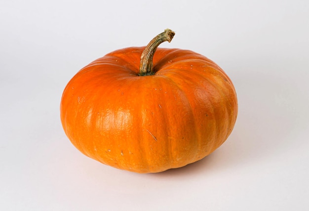 Grande zucca su sfondo bianco Frutta fresca e arancione