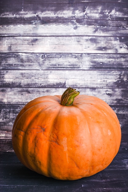 grande zucca succosa su una parete di legno scuro