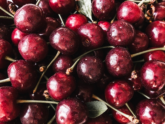 Grandi bacche mature della ciliegia con le foglie e le gocce del fondo dell'acqua. Sfondo di cibo estivo naturale.