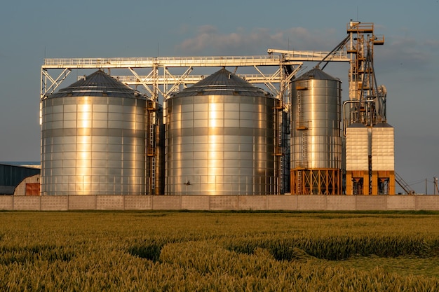 Grandi botti di grano di ferro al tramonto La bella luce del sole al tramonto illumina i silos d'argento sull'impianto di produzione agro per la lavorazione dell'essiccamento, la pulizia e lo stoccaggio dei prodotti agricoli