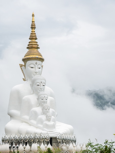 Grandi cinque statue di Buddha di seduta in una foschia, Tailandia