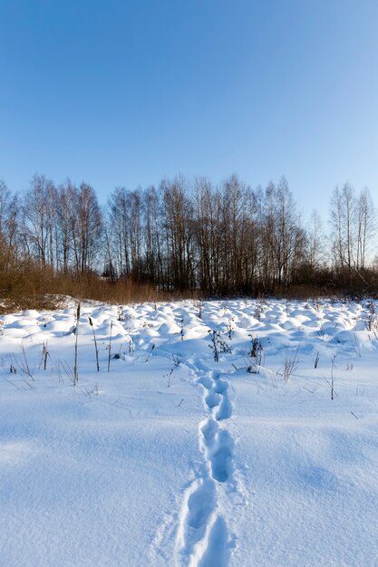 Grandi cumuli di neve dopo nevicate e bufere di neve, la stagione invernale con clima freddo e molte precipitazioni sotto forma di neve