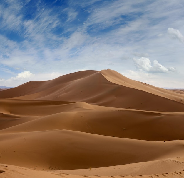 Grandi dune di sabbia nel deserto del Sahara