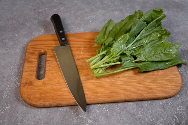 Grandi foglie succose di spinaci