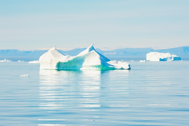 Grandi iceberg blu nel fiordo di Ilulissat, Groenlandia