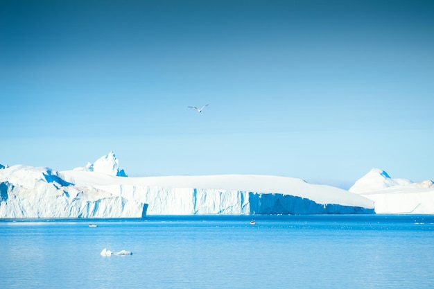 Grandi iceberg nel fiordo di Ilulissat, Groenlandia occidentale. Oceano Atlantico