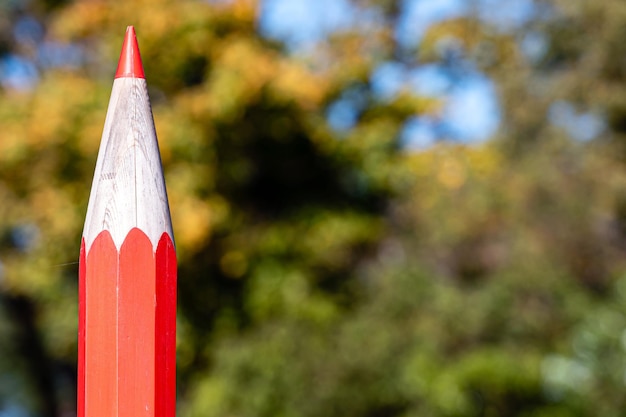 Grandi matite decorative su sfondo sfocato torna al concetto di scuola