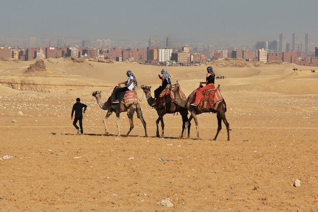 Grandi piramidi dell'antico Egitto a Giza, al Cairo