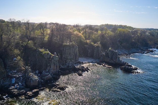 grandi rocce e alberi dall'oceano in Danimarca