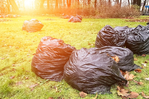 Grandi sacchi della spazzatura neri sull'erba verde.