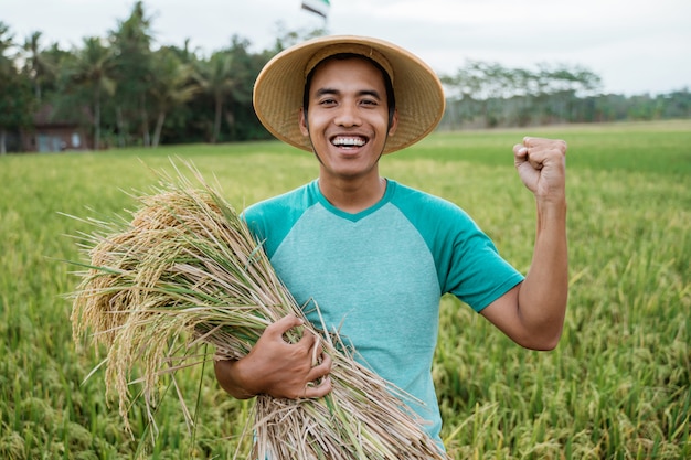 Grani asiatici felici del riso della tenuta dell'agricoltore nel campo