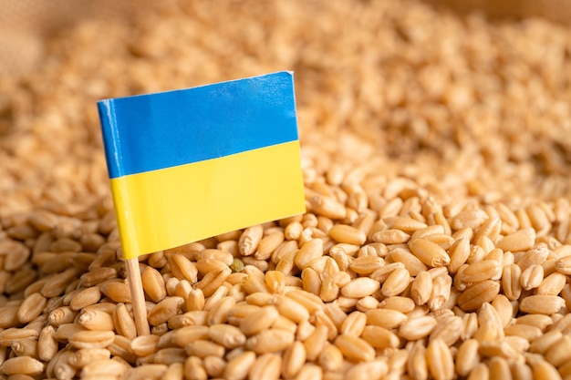 Grani di grano con l'Ucraina bandiera commercio esportazione e concetto di economia