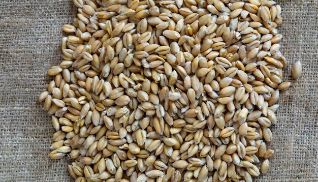 grano di grano su un sacco di stoffa uno sfondo alimentare