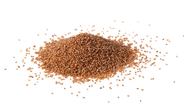 Grano marrone del teff isolato