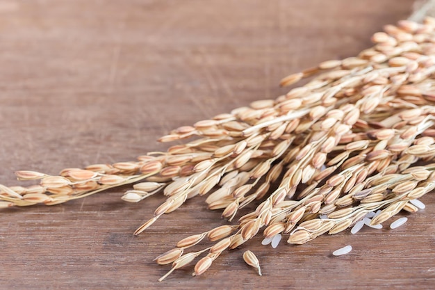 Grano o risone sulla tavola di legno con lo spazio della copia