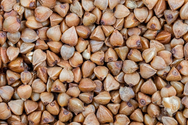 Grano saraceno. grano saraceno fresco. sfondo di grano saraceno secco. consistenza del grano saraceno