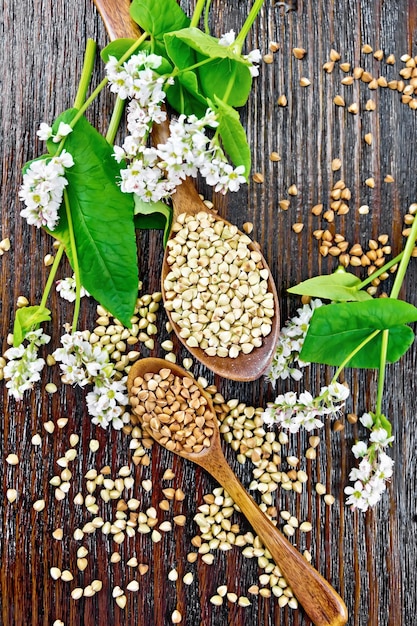 Grano saraceno verde e marrone in cucchiai sulla parte superiore del bordo scuro