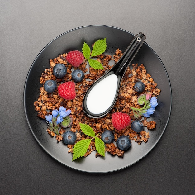 Granola fatta in casa con frutti di bosco Vista dall'alto