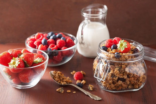 Granola sano fatto in casa in vaso di vetro e bacche