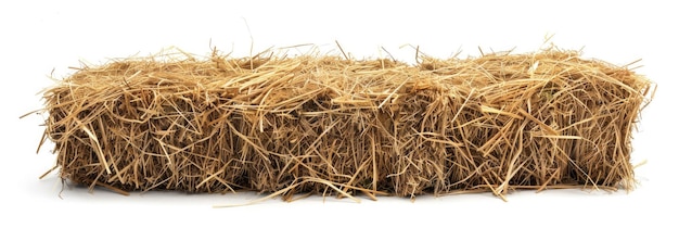 Grass Hay Bale di fieno isolato su sfondo bianco per l'agricoltura e l'alimentazione animale