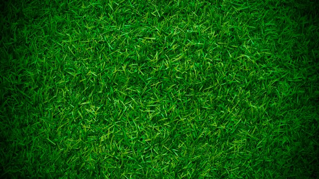 Grass texture green background grass garden concept utilizzato per creare un campo da calcio di sfondo verde Grass Golf green lawn pattern textured background
